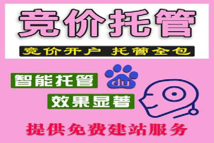 案例解析：SEM托管代运营团队风采